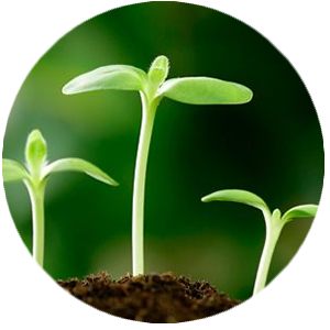 db真人电竞官网发展