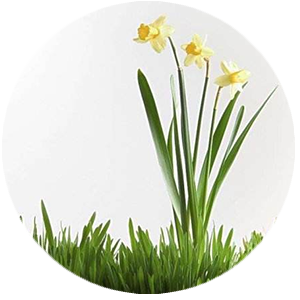 db真人电竞官网里程碑